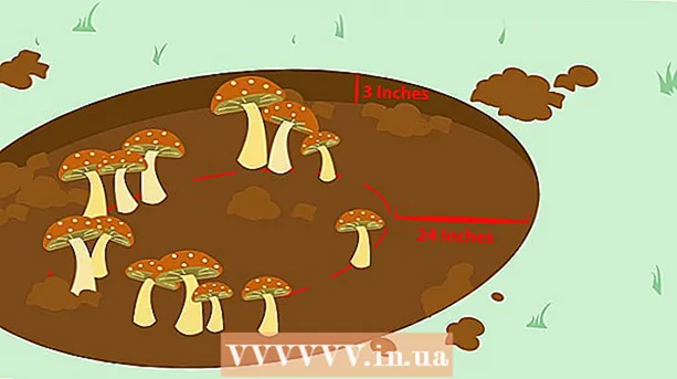 Döda svampar