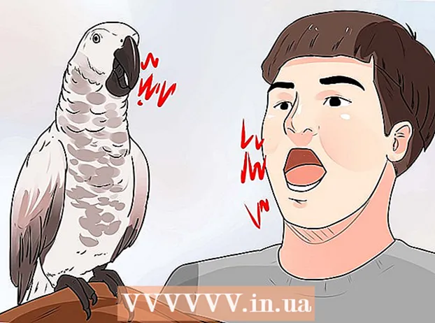 आवाज कमी करण्यासाठी पोपटांना प्रशिक्षित करा