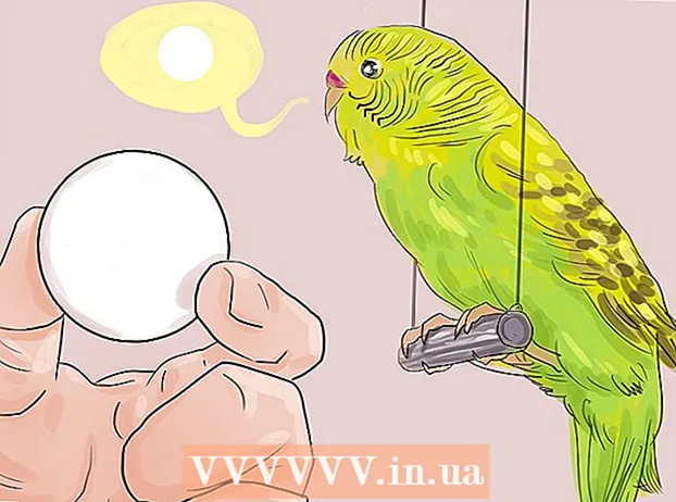 Папагалите се научават да говорят