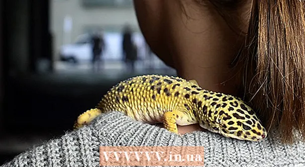 Magsaya kasama ang iyong leopardo gecko