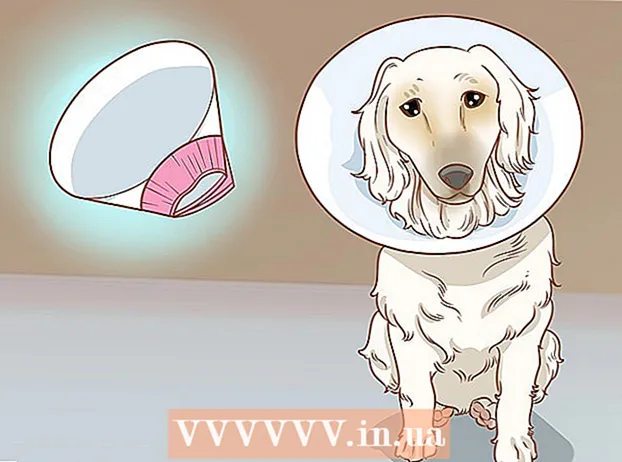 إزالة الثآليل الجلدية في الكلاب