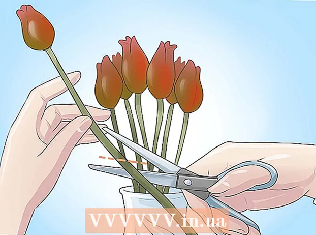 Lumalagong mga tulip