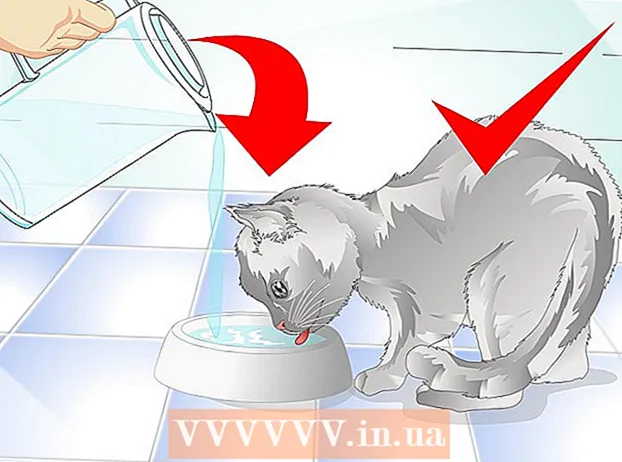 Како се ослободити перути мачака