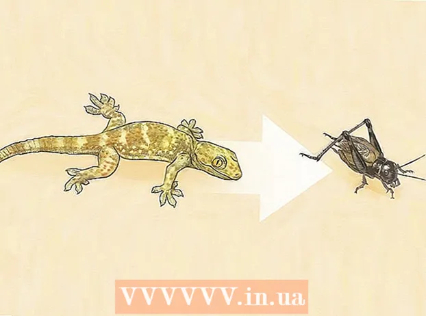 Hvordan bli kvitt crickets