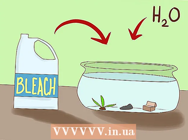 Como se livrar dos caracóis em um aquário