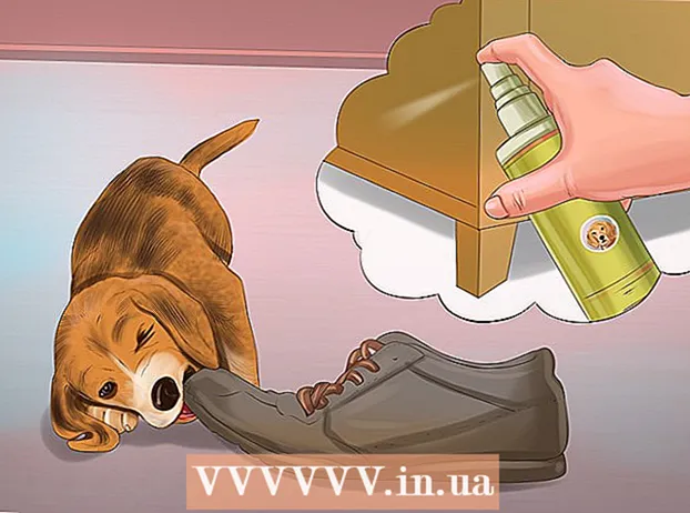 Спрете деструктивното поведение при кучетата