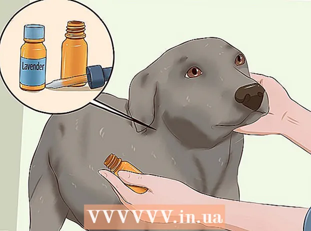 Mate pulgas em cães