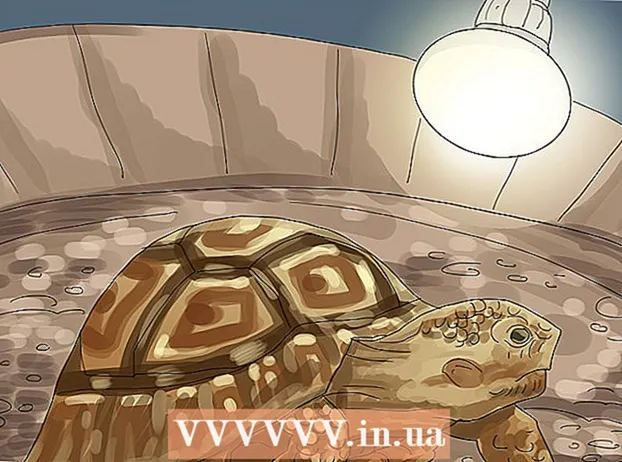 Уход за черепахой