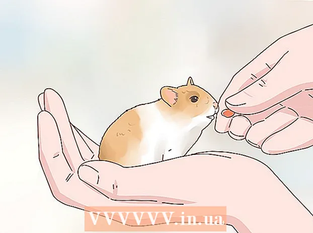 Att ta hand om hamsterbebisar