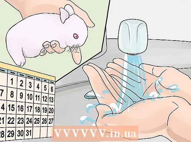 טיפול בארנבות שזה עתה נולדו