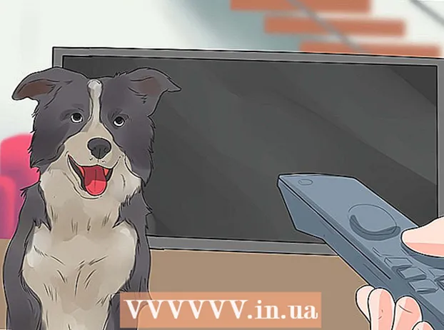 Preprečevanje psu, da bi lajal na druge pse