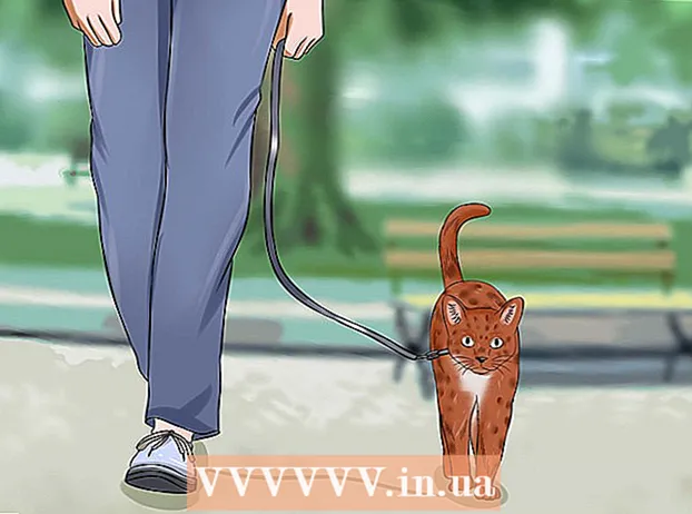 Zapobiegaj wybiegnięciu kota przez drzwi