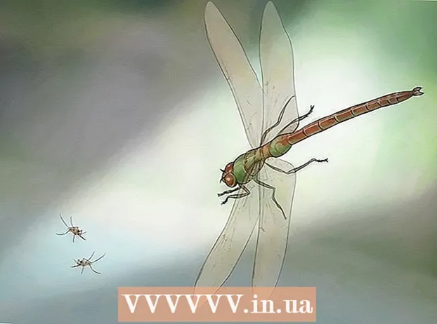 Förhindra att myggor reproducerar sig