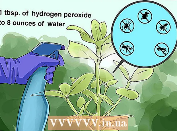Usar peróxido de hidrógeno en el jardín