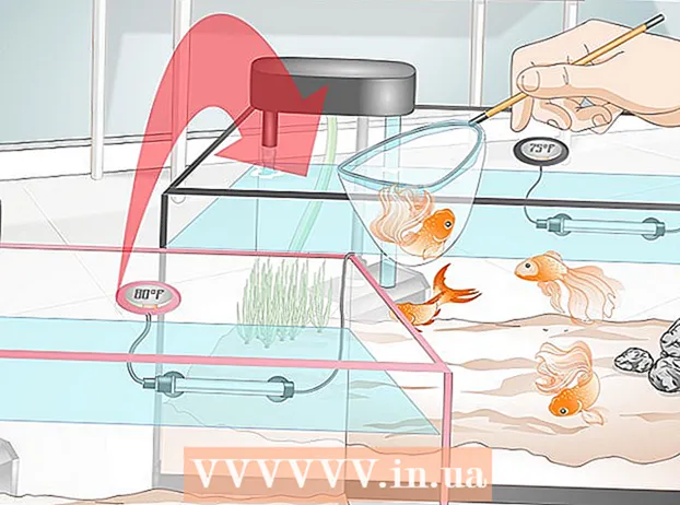 زرد مچھلی میں جراحی کا علاج