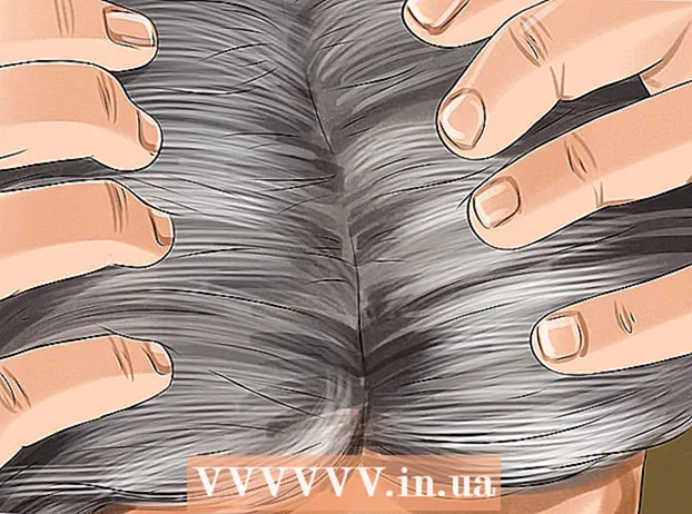 Mantingui el cabell gris platejat