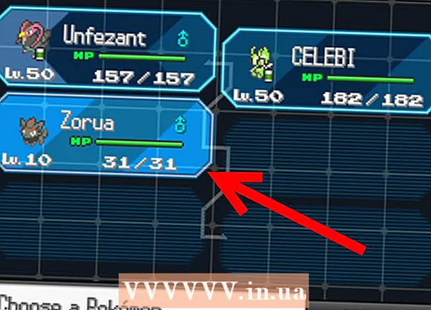 Acquisizione di Zorua in Pokémon Bianco