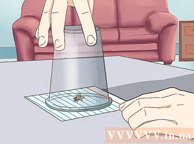 Начини за улавяне на мухи