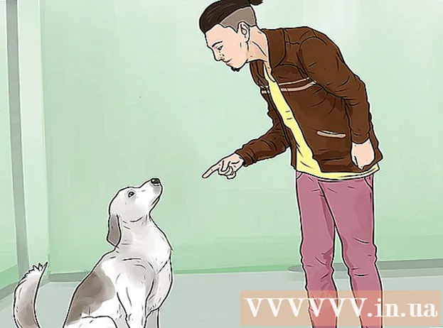 How to stop a dog barking when meeting a stranger