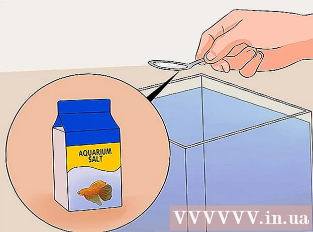 Hvordan kurere betafisk