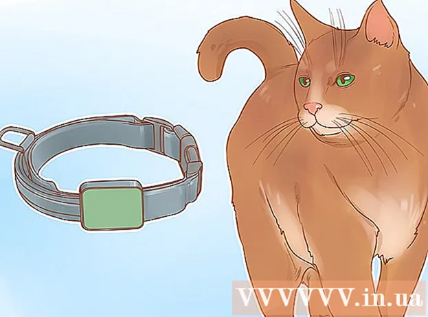 Πώς να παίξετε με τη γάτα σας