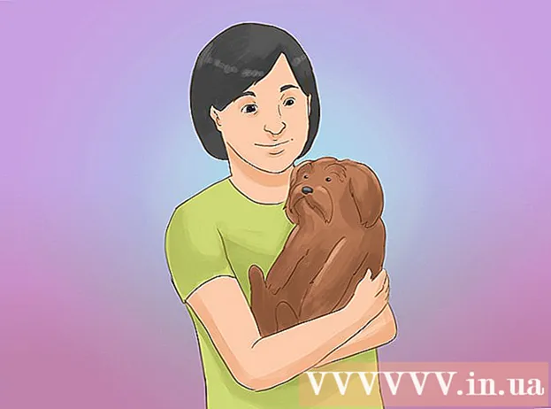 Kako skrbeti za levjega psa