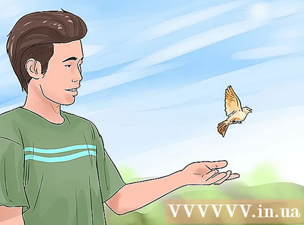 ترک شدہ پرندوں کی دیکھ بھال کرنے کے طریقے