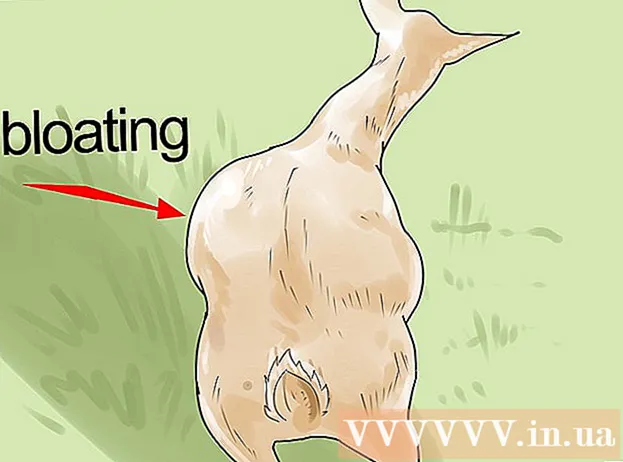 A kecskék gondozásának módjai