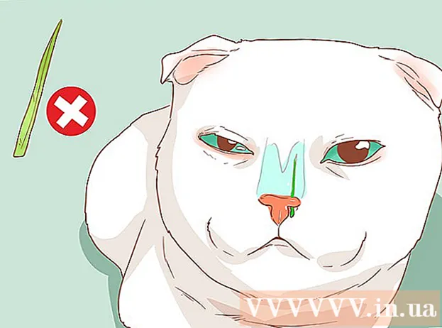 Cum să ai grijă de o pisică cu nasul înfundat
