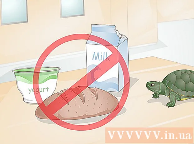 Hvordan ta vare på skilpadder som ikke spiser