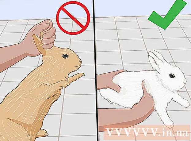 Hoe zorg je voor een gewond konijn
