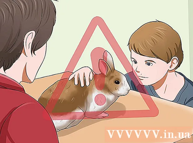 Como cuidar do coelho doméstico