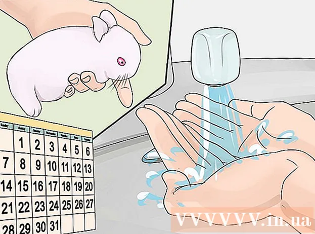 Hvordan ta vare på en nyfødt kanin