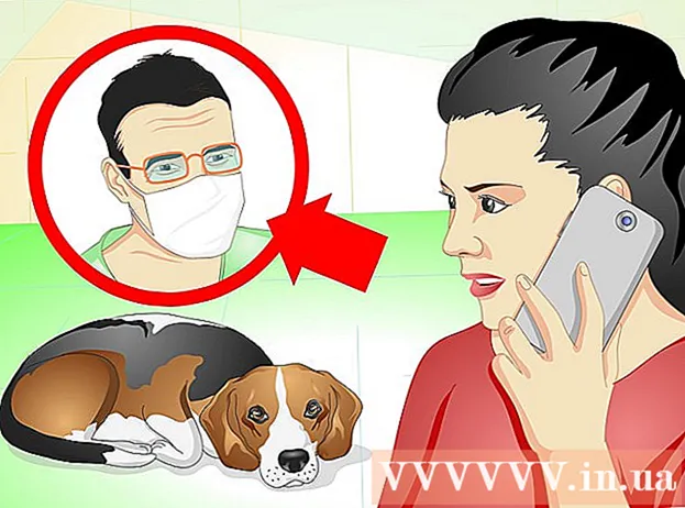 あなたの犬のステッチの世話をする方法
