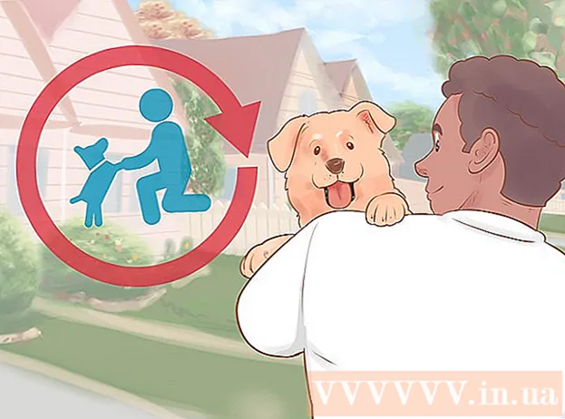 راه های انتخاب فرزندخواندگی توله سگ