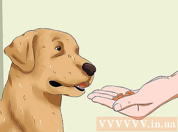 كيفية إعطاء الكلب طعامًا جافًا