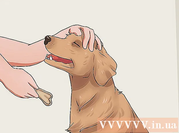 Ինչպես տալ ձեր շան հաբերը