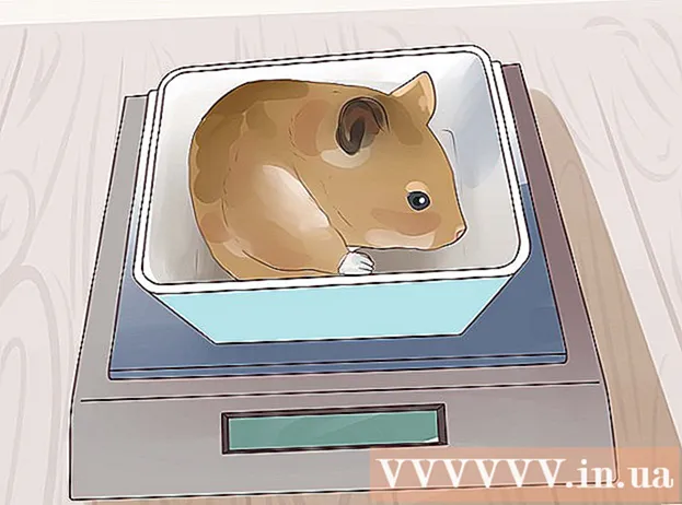 Hoe een hamster te voeren