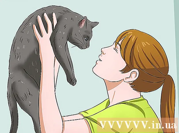 Kako dati lijek za mačke