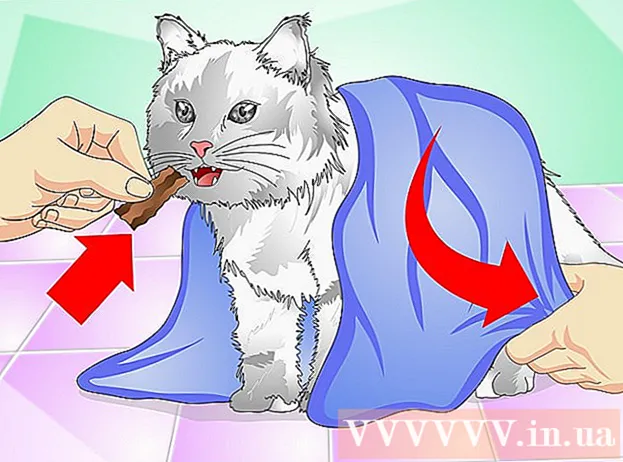 How to give a cat liquid medicine
