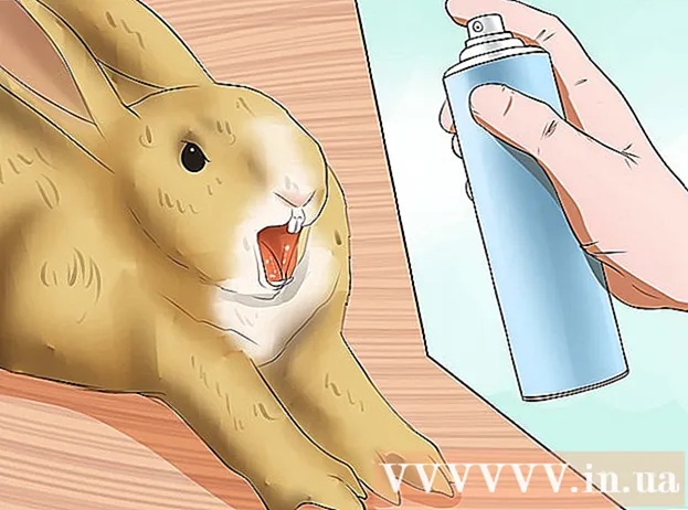 Cum să lăsați iepurele să se cunoască
