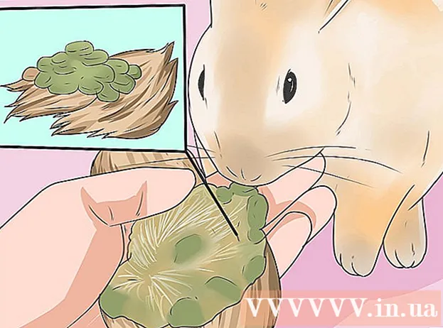 Sådan giver du din kanin de rigtige grøntsager