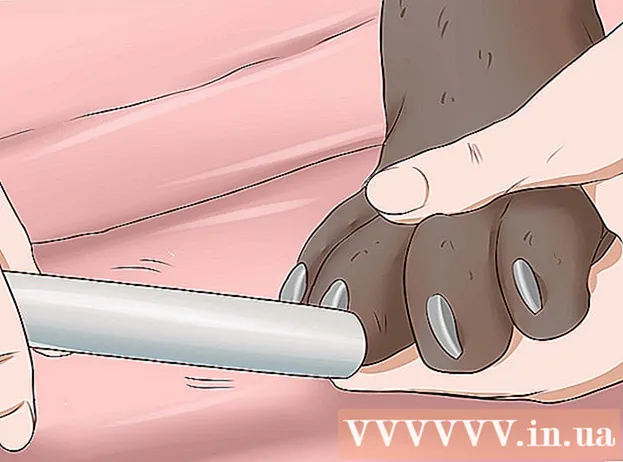 Como Cortar Pedicure de Cachorro