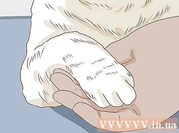 Как да отрежете котешки нокът