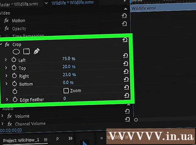 How to Crop a Video Using Adobe Premiere Pro