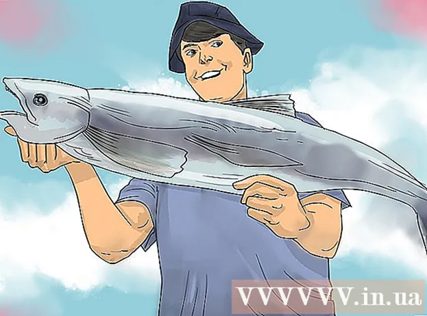 Spôsoby rybolovu