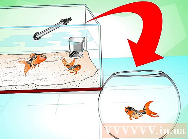 Manieren om een ​​stervende goudvis te redden