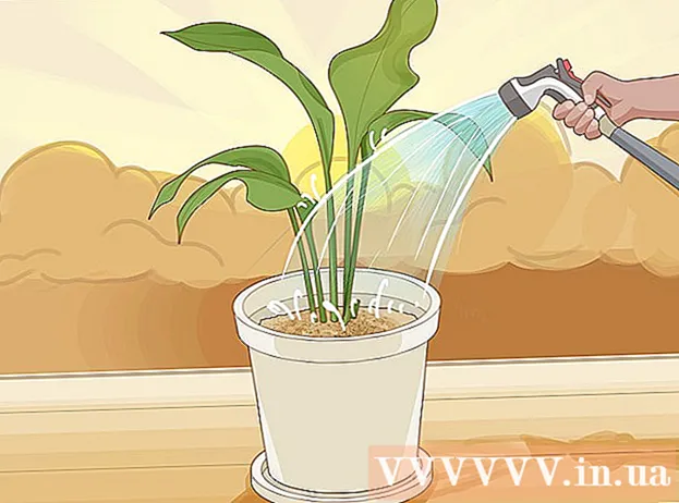 דרכים להצלת צמחים מוצפים