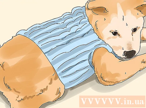 نحوه استفاده از روغن نارگیل برای درمان کک و مک و مشکلات پوستی در سگ ها