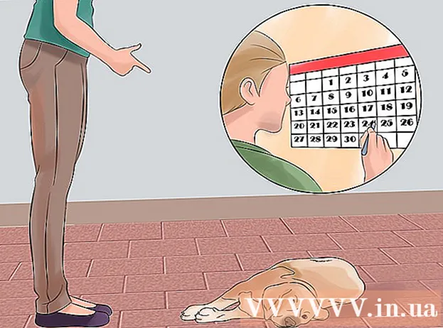 Πώς να διδάξετε ένα σκυλί να παίζει νεκρός με εντολές